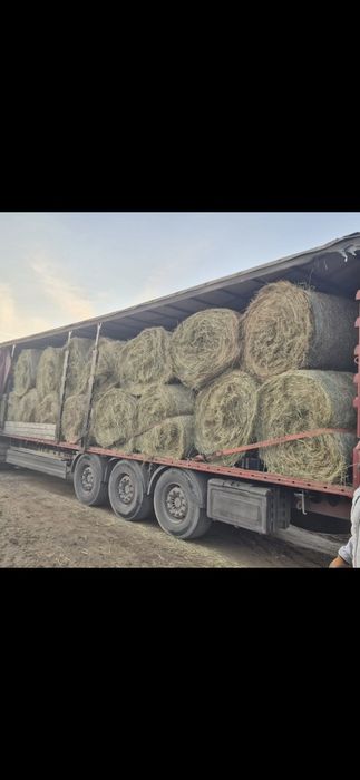 Baloti Rotunzi Lucerna min.40.sau fan.Drept.min.500.Transport>RO UE

B