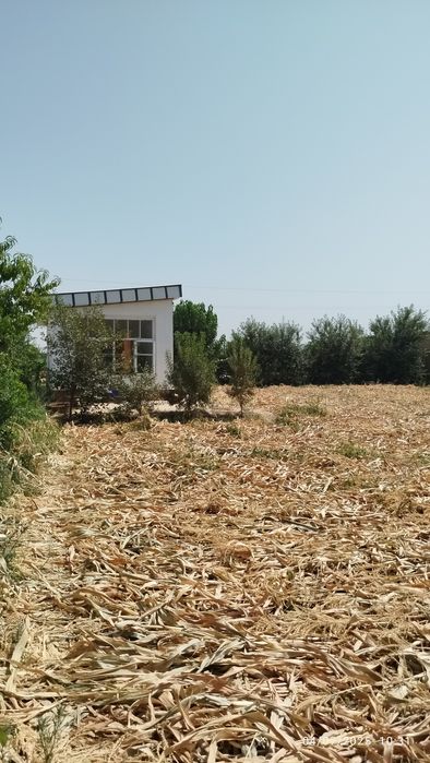 Tomorqa va uy joy sotiladi