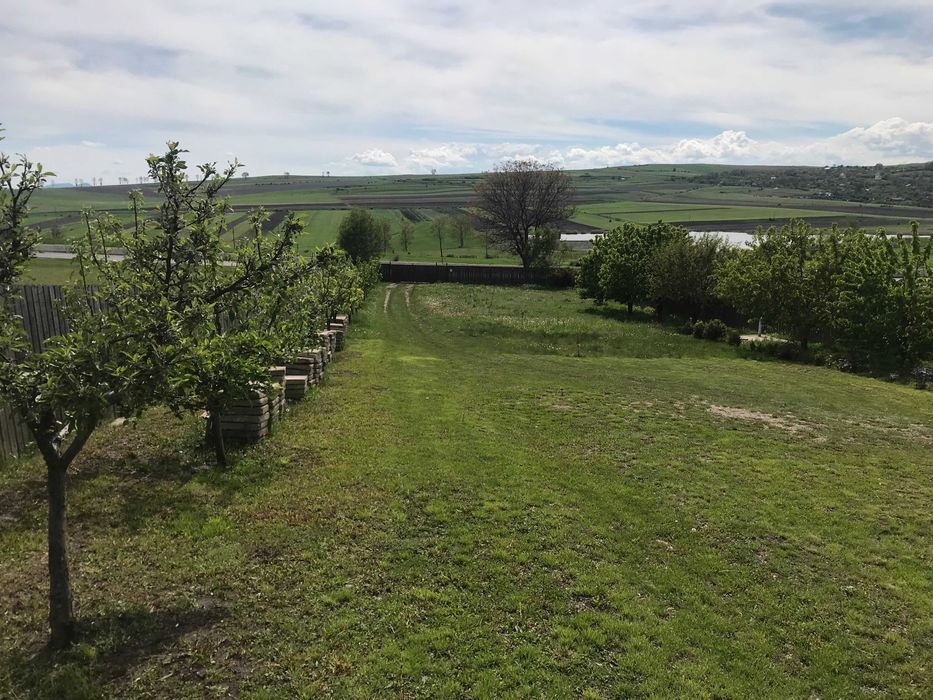 Casa si gradina 5600 mp Tureni