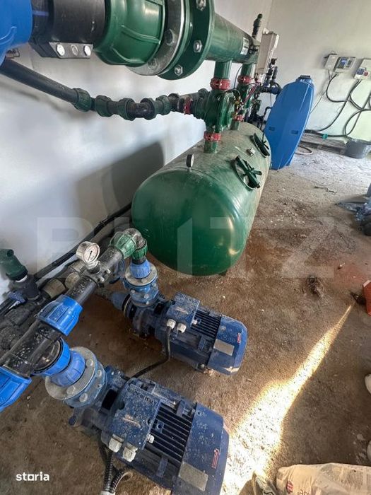 Ferma de nuci - teren agricol, zona Ivesti