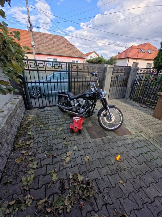 Harley Davidson Softail