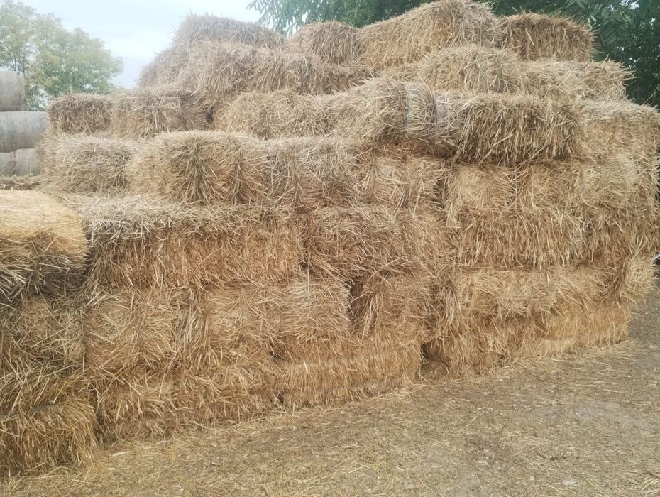 Vând/ schimb  cu diverse