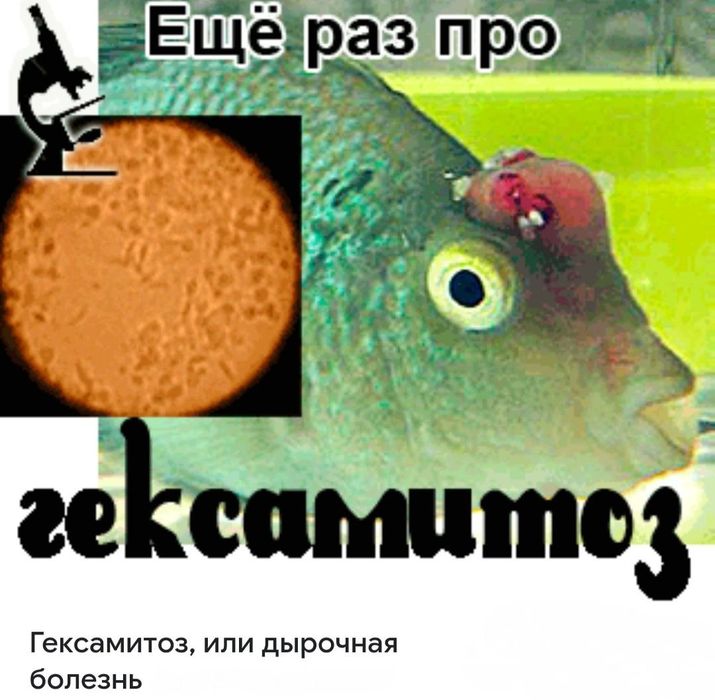 Лекарство для рыб.