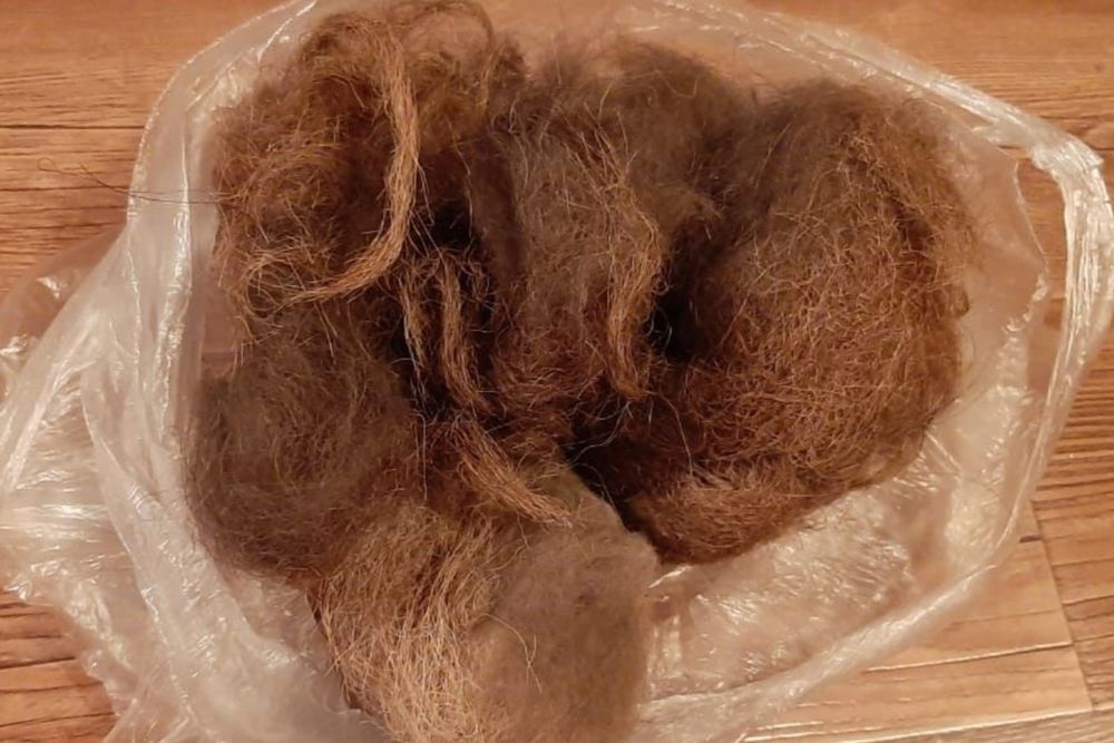 Верблюжья шерсть/Түйенің жүні