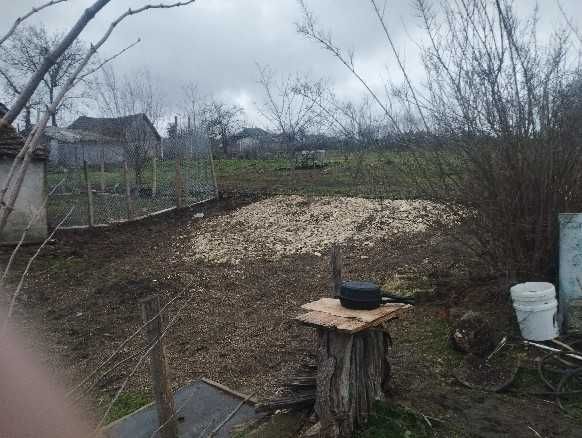 casa 2 camere,din piatra,vedere la padure ,dumbraveni constanta.