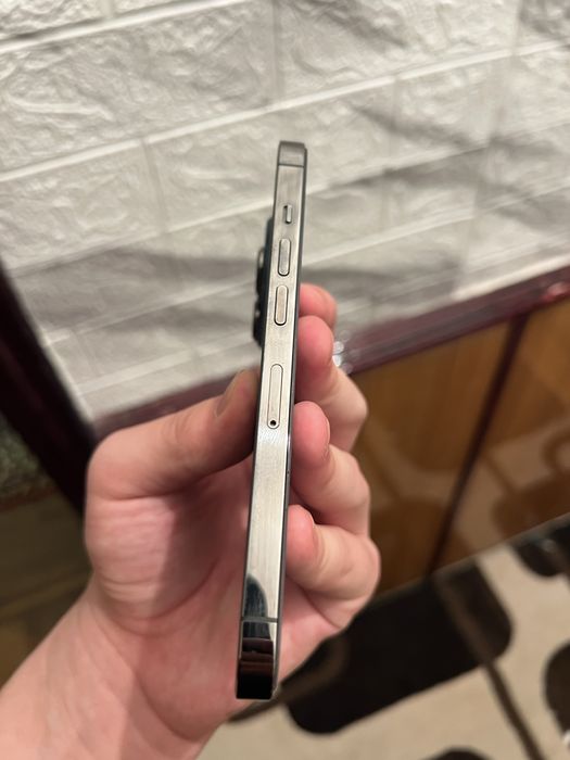 iPhone  13   pro
