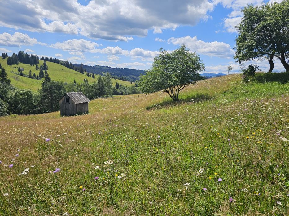 Teren de vanzare extravilan in Bucovina zona Breaza