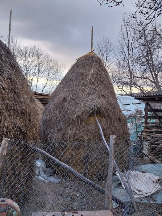 Fân de vânzare!! PRODUCȚIE 2025