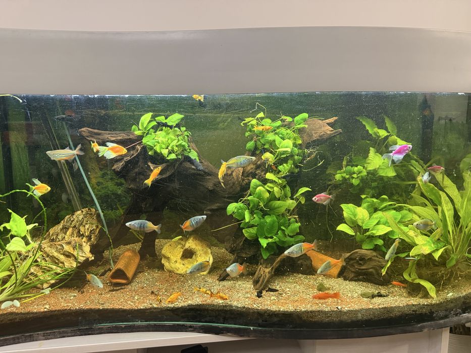 Acvariu 280 litri
