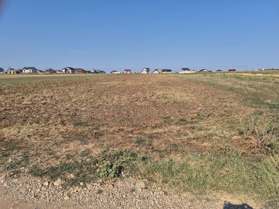 Teren intravilan 5.000 mp în Caracal – acces din două străzi – utilități