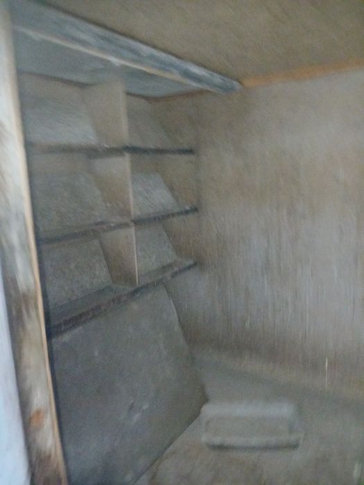 Продам голубят. Голубятник