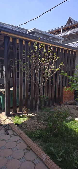 Мебельщик,Mebelshik