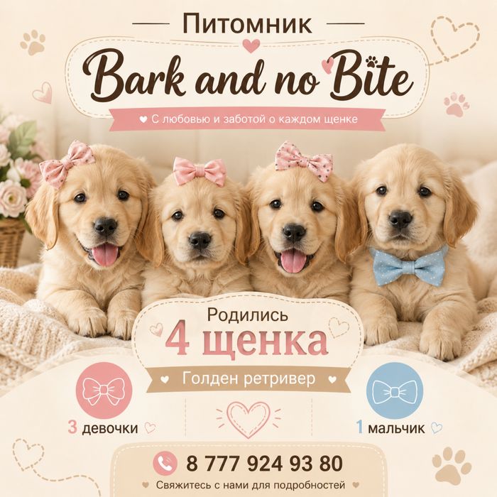 Золотистый ретривер