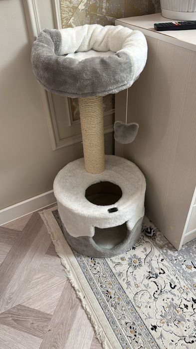 Котёнок продААам