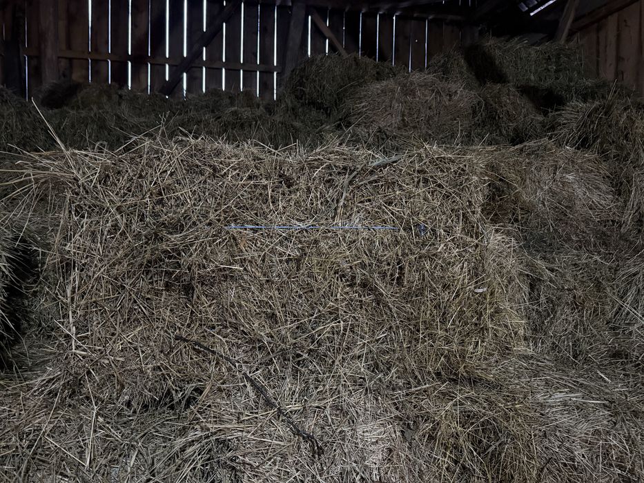 Vând baloți de fân.