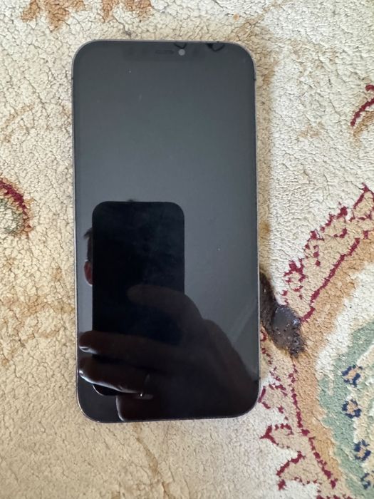 Iphone 12 pro max