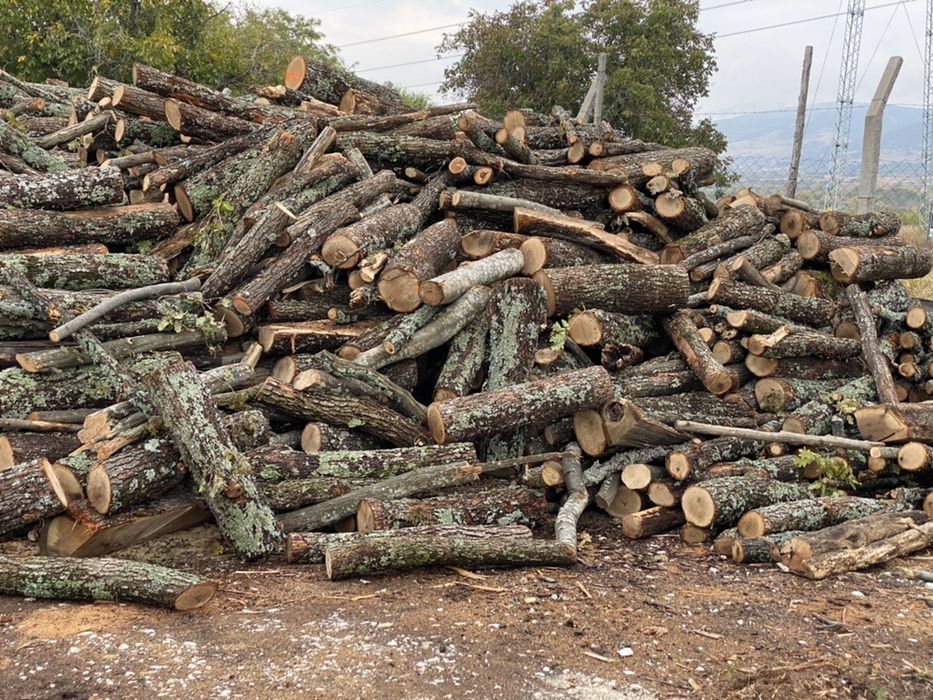 Дърва за огрев от 70€ реален кубик