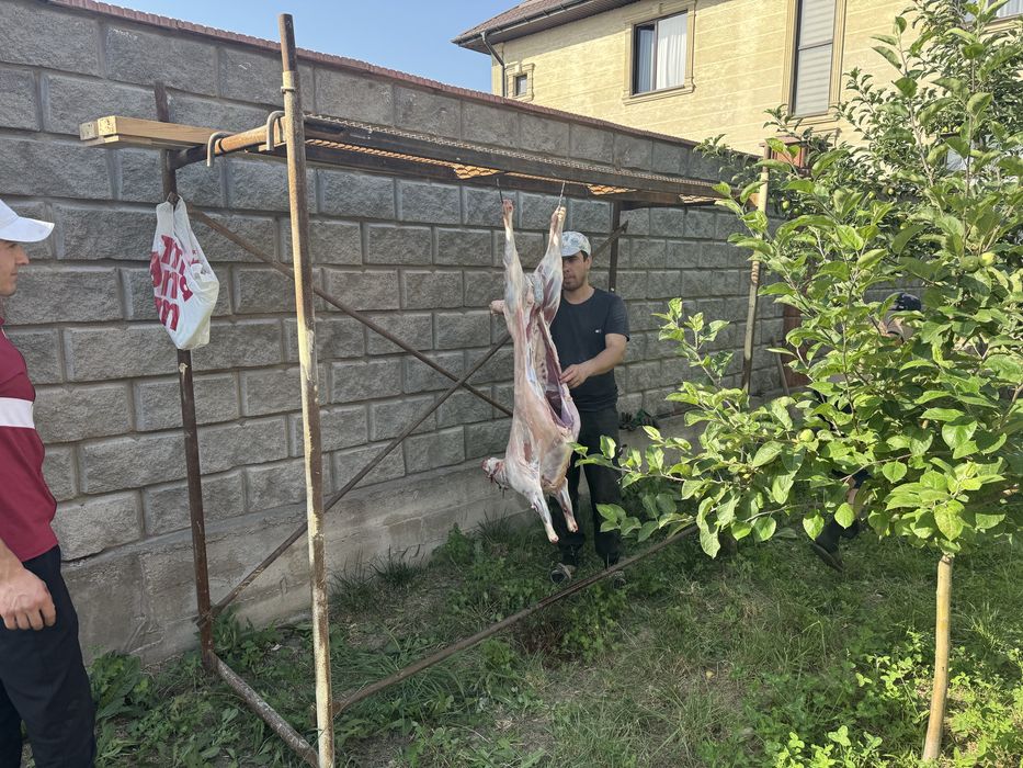 Аренда лесов с доставкой, прокат опалубки