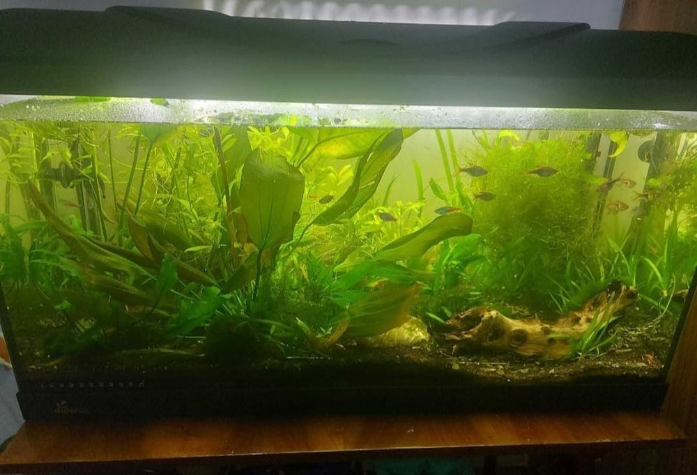 Acvariu Diversa, 112 L