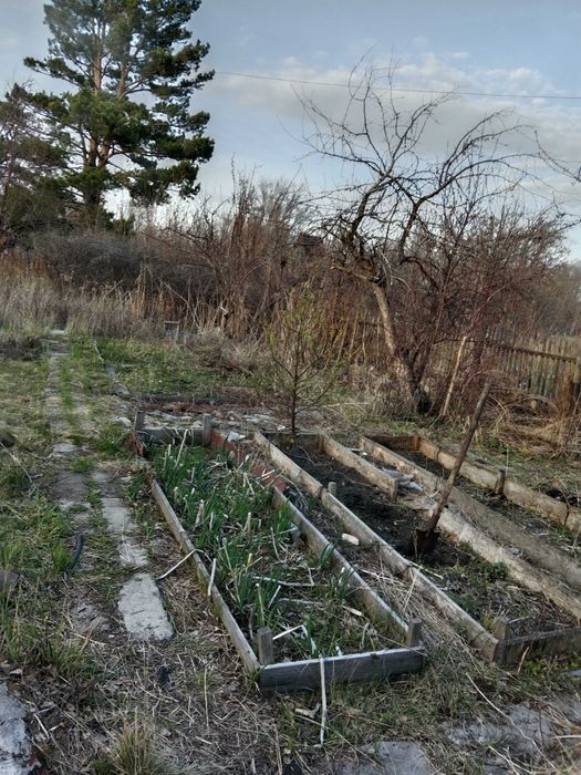 Продам дачу в с.о Чапаевские
