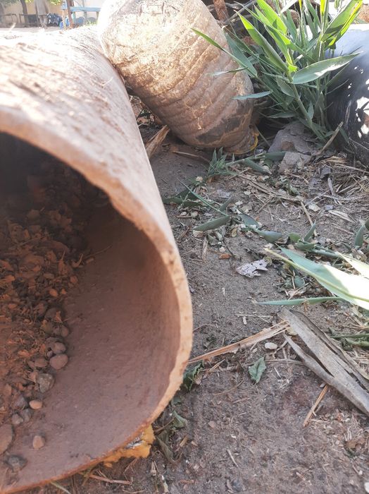 Turba 219 lik 12-metirdan  2 dona bor 1 metiri 250 mingnan