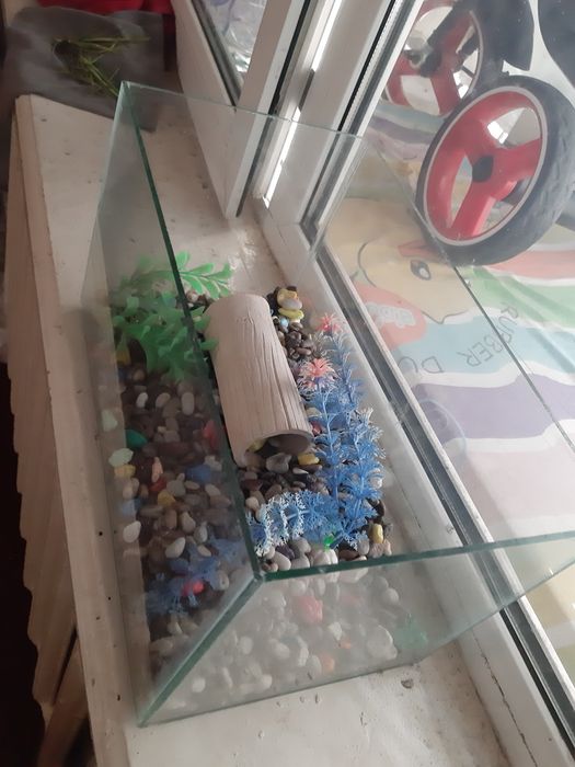 Sifatli akvaryum sotiladi 20x20