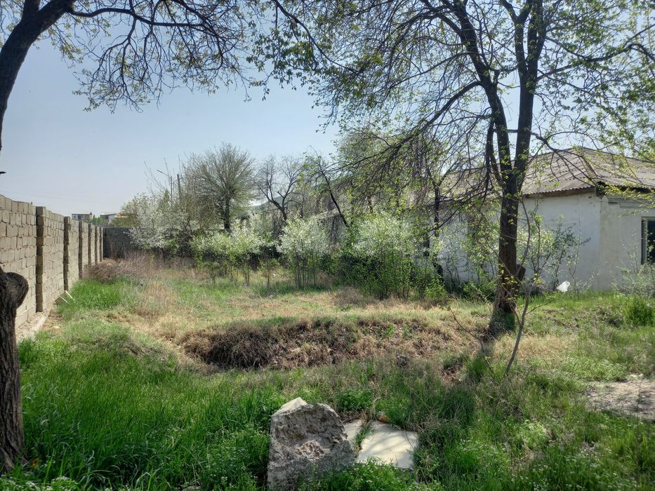 Uchastka 27 sotok Sharilloq mfy