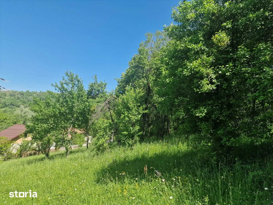 teren Comarnic, 3200 m2, zona Poiana