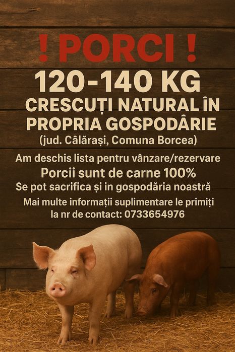 Iepurași de vânzare