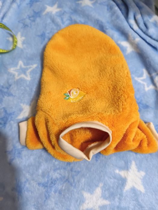 Одежда для животных