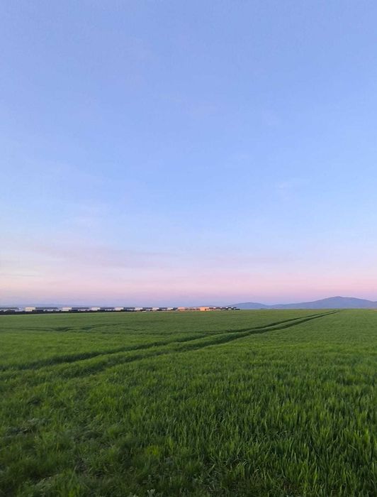 TEREN DE VANZARE 4.9 Hectare