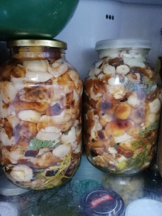 Продам солёные грибы валуи