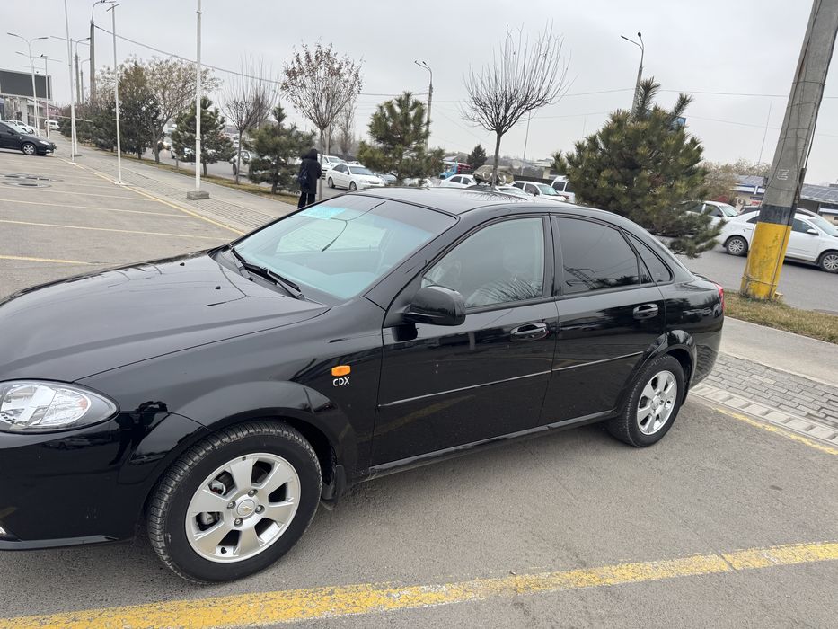 jentra 2022 kichkina petno bor