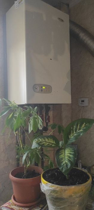 Închiriez garsoniera Războieni