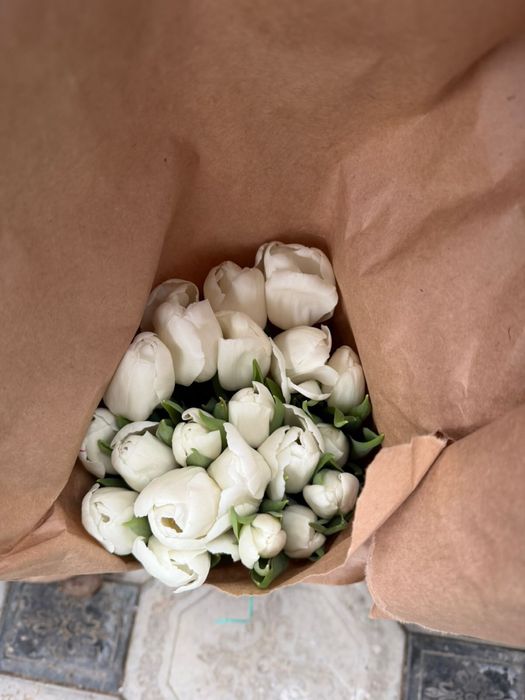 Оптом тюльпанов