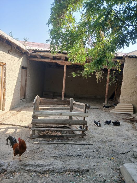 Уй жой сотилади.Пешку туман Янги обзор  район  центр