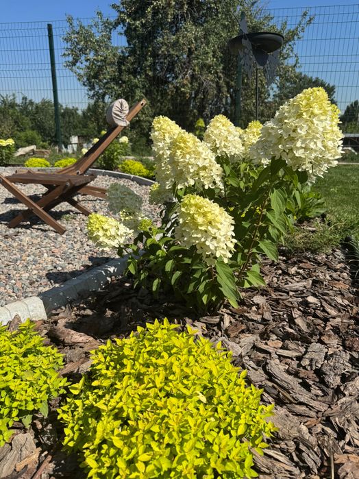 Ландшафтный дизайн