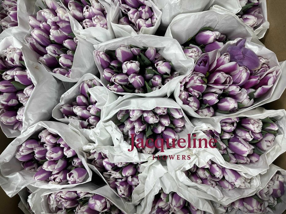 Тюльпаны оптом Астана