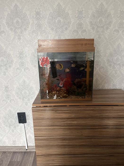 Аквариум с рыбками