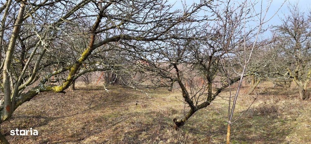 Teren Intravilan 43Ari zona Ortelec-Zalau intre case 4800eur/ar