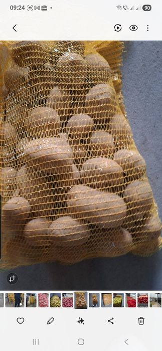 Cartof alb si rosu cu miezul galben