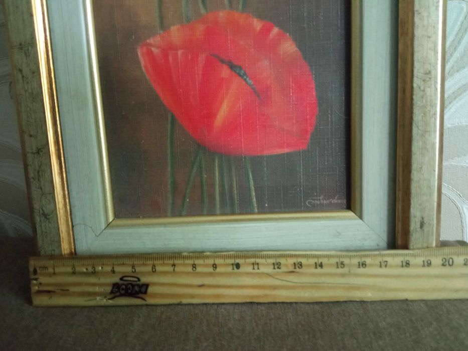 Картина настенная Маки