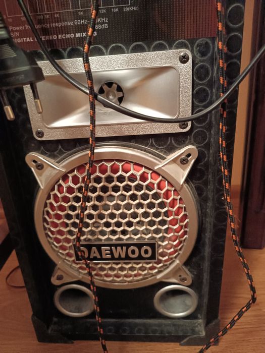 Boxe 220v cu microfon