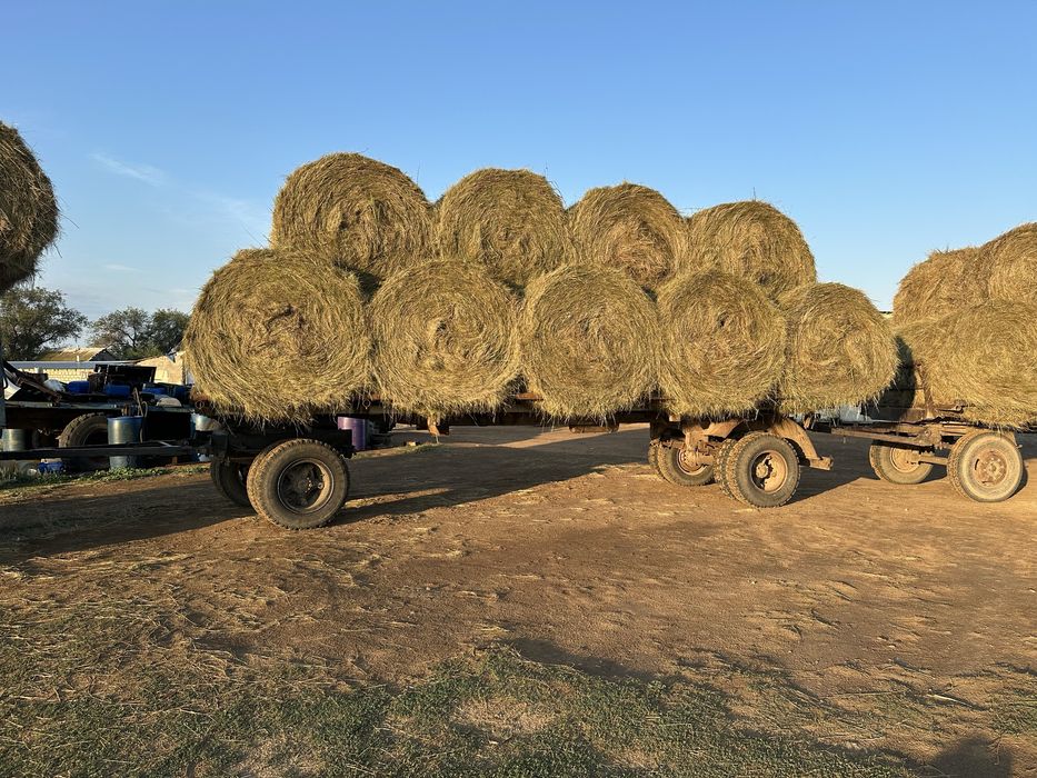 Прицеп сеновозка ОДАЗ