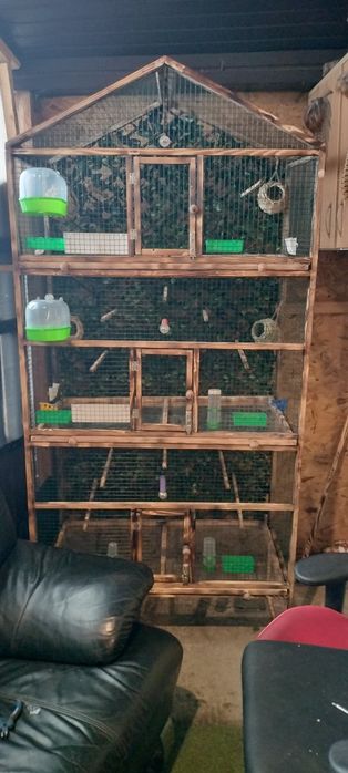 Voliera și păsări mici