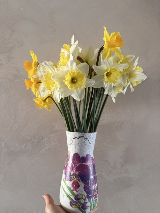 Vand narcise en gros,50 fire/pachet,parfumate,superbe