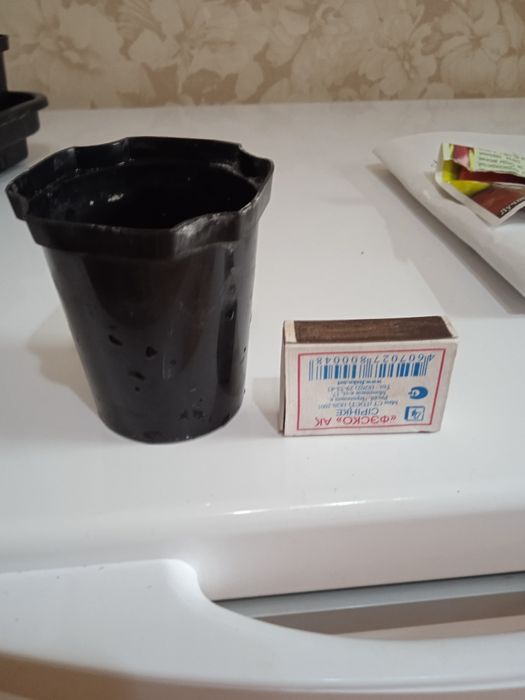 Продам стаканчики для рассады