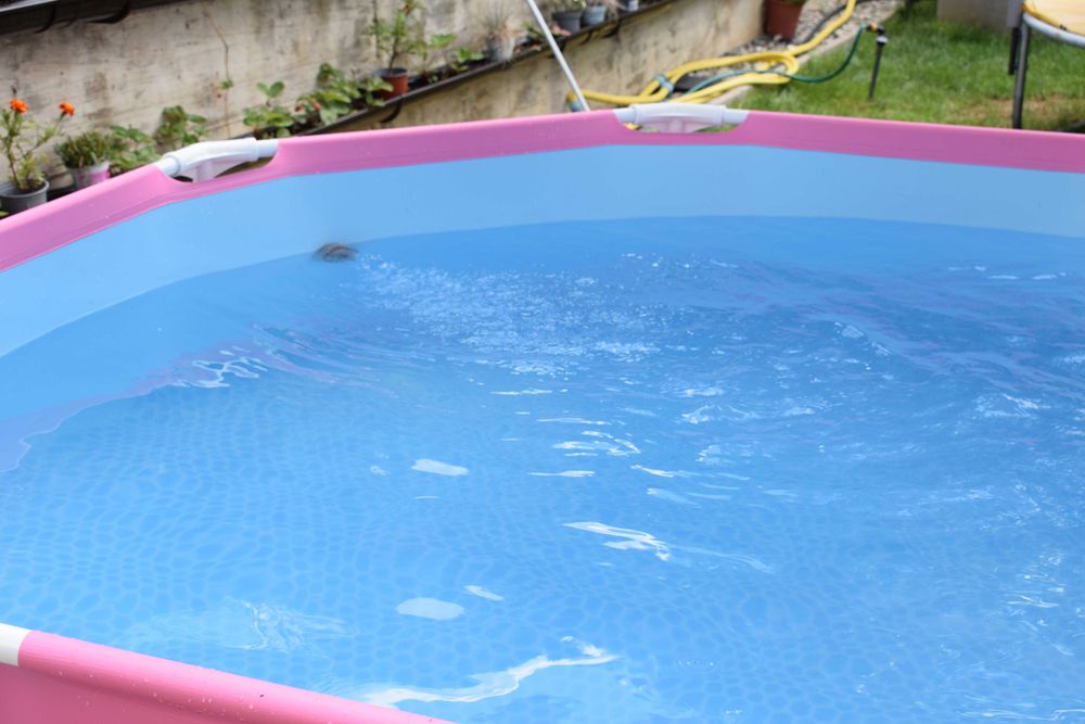Piscina 244cm  supraterana