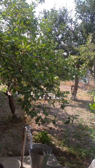 участок земля 3 соток