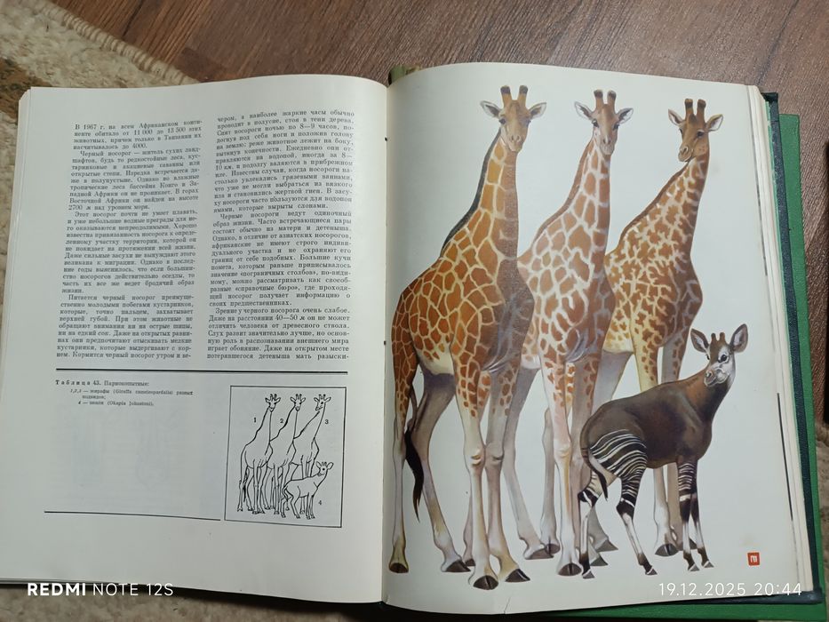 Книги Жизнь Животных 6томов